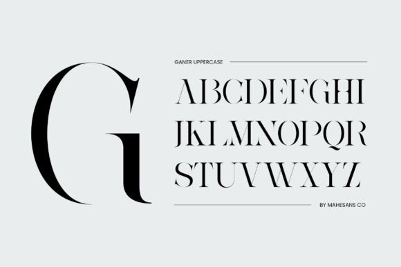 Ganer Regular Font - Preview 1