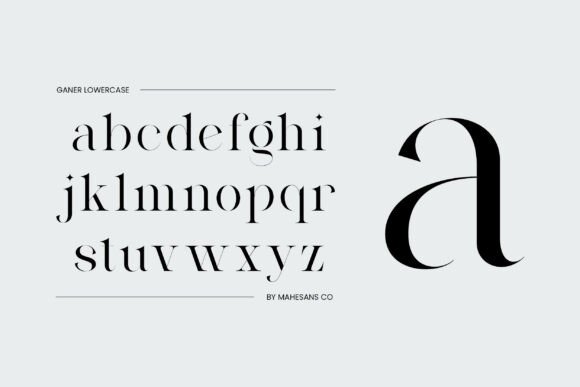 Ganer Regular Font - Preview 2