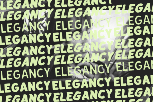 Elegancy Font - Preview 5