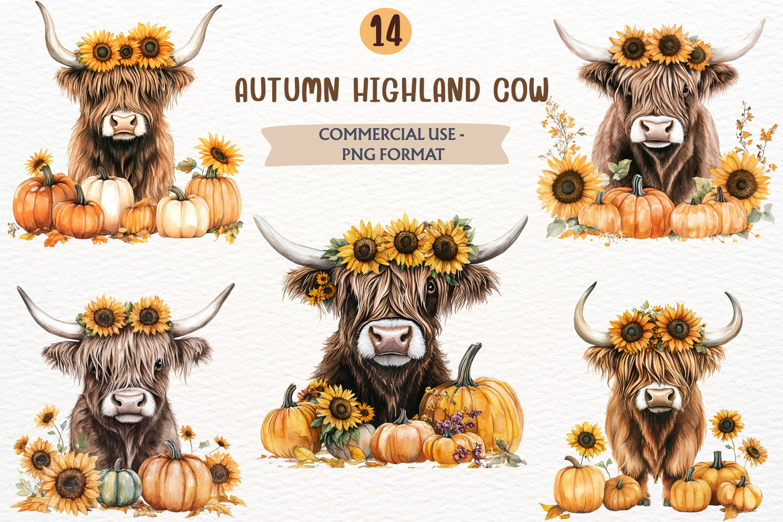 Autumn Highland Cow Clipart PNG Graphic by SugarCloudStudioArt ...
