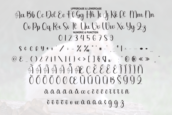 Bunny Font - Preview 6