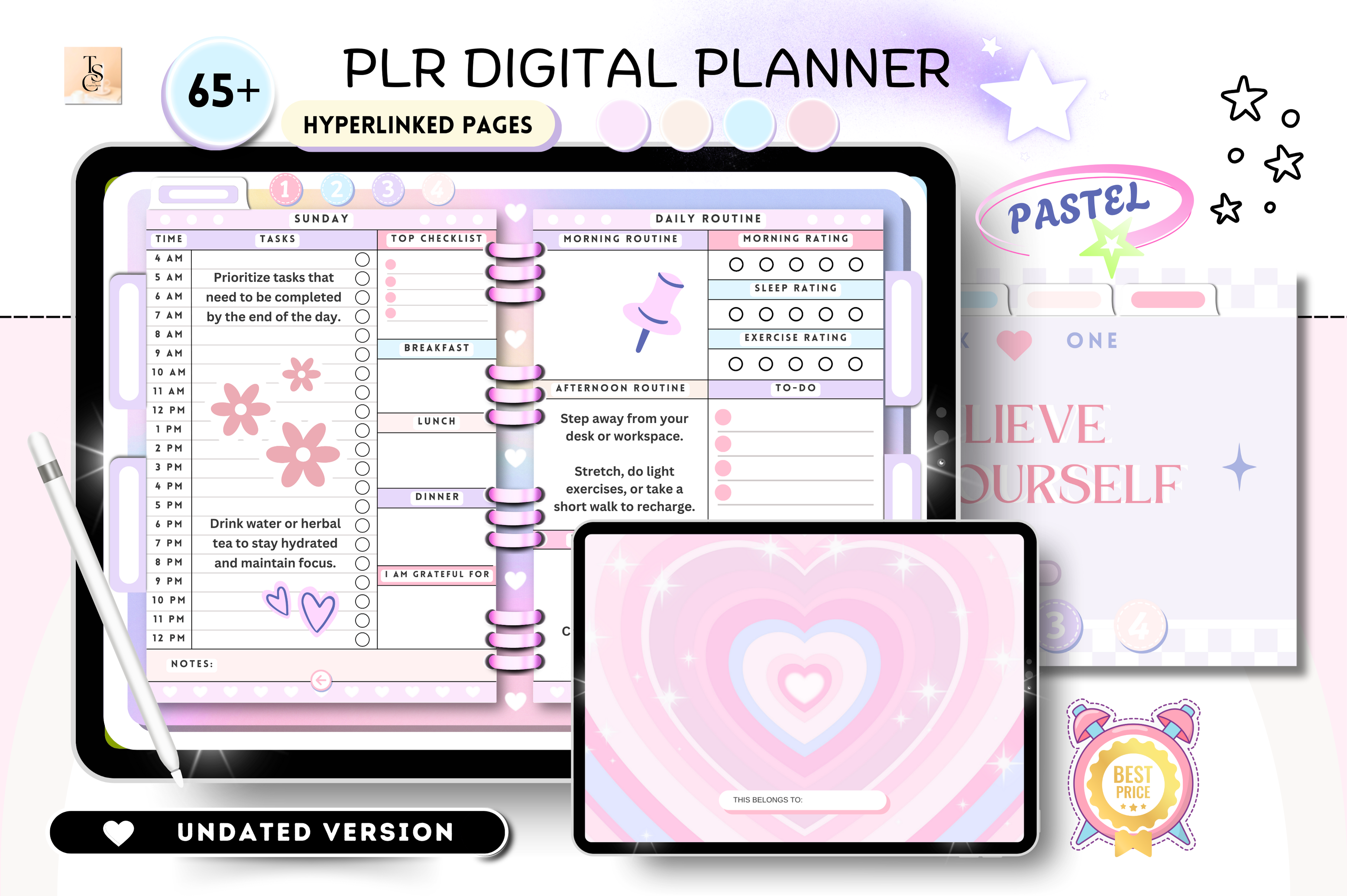 PLR Resell Canva Undated Digital Planner