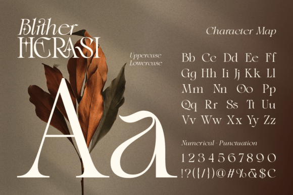 Blither Herasi Font - Preview 1
