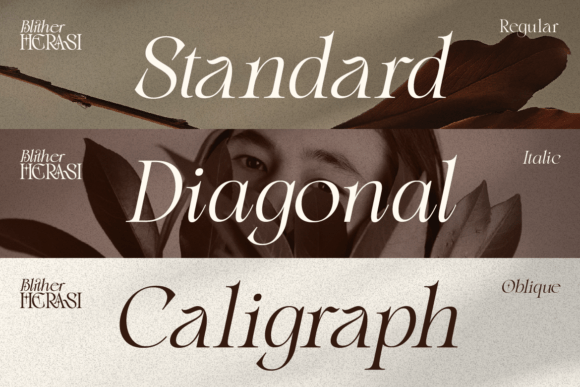 Blither Herasi Font - Preview 3