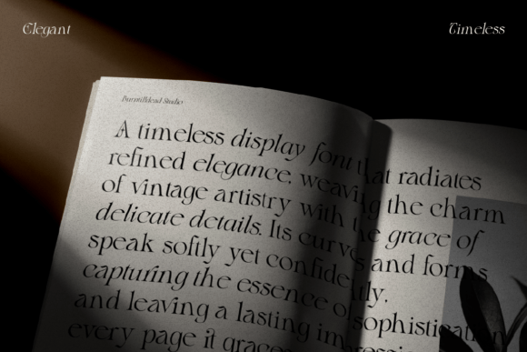 Blither Herasi Font - Preview 4