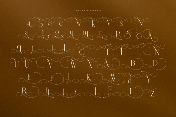 Carona Font - Preview 4