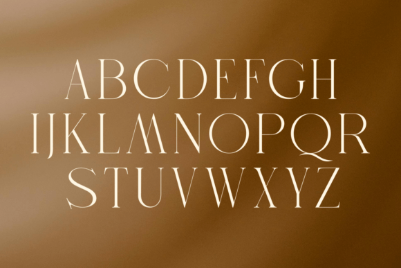 Carona Font - Preview 5