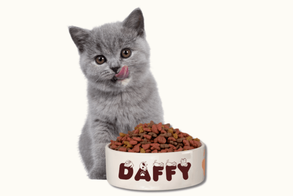 Cat Purr Font - Preview 2