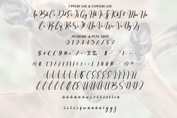 Animal Font - Preview 6