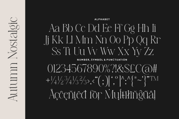 Autumn Nostalgic Font - Preview 4