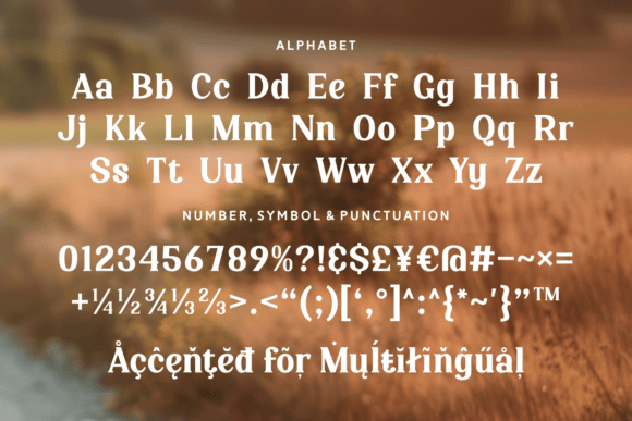 Bridge Connect Font - Preview 4