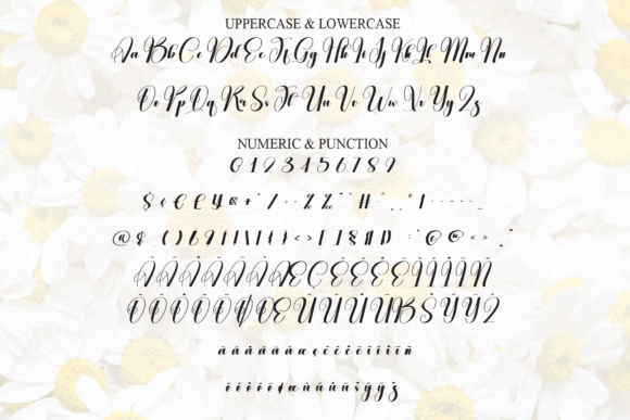 Daisy Font - Preview 6