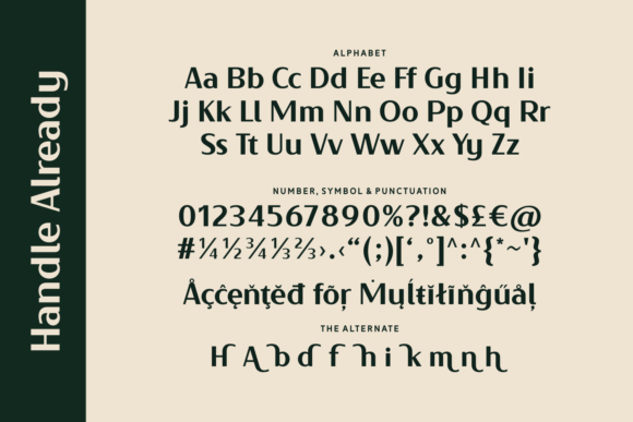 Handle Already Font - Preview 3
