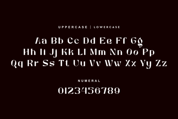 Newgon Font font preview - 6