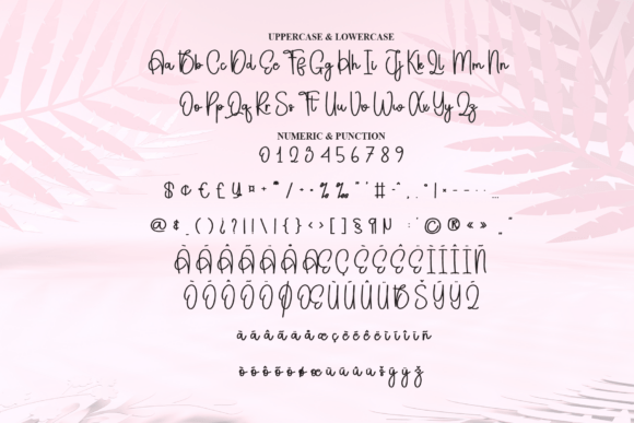 Beauty Font - Preview 6