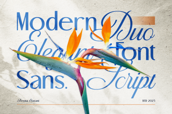 Beyna Elvani Font - Preview 5