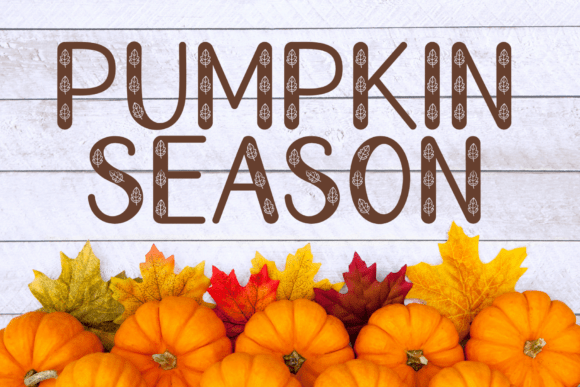 Autumn Show Font - Preview 3