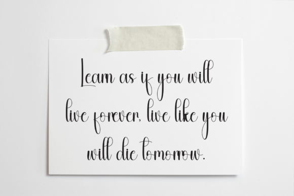 Camelia Font - Preview 2