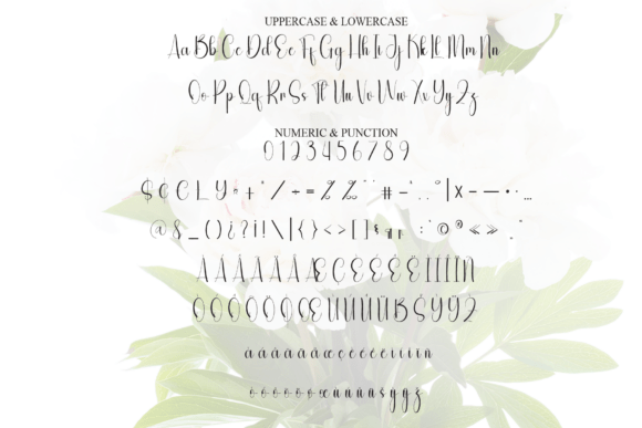 Camelia Font - Preview 6