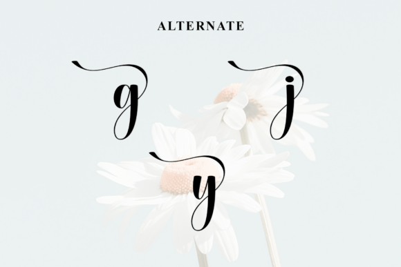 Daisy3 Font PNG with transparent background - Preview 5