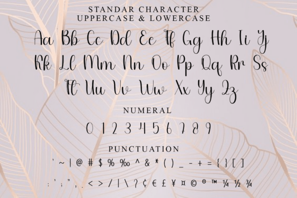 Belinda Font - Preview 6