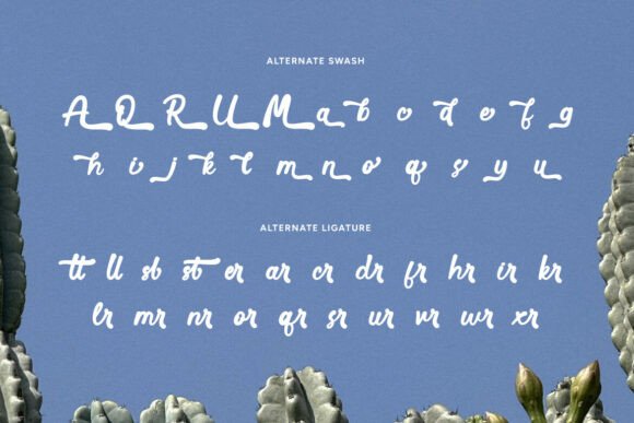 Savel Font PNG with transparent background - Preview 4