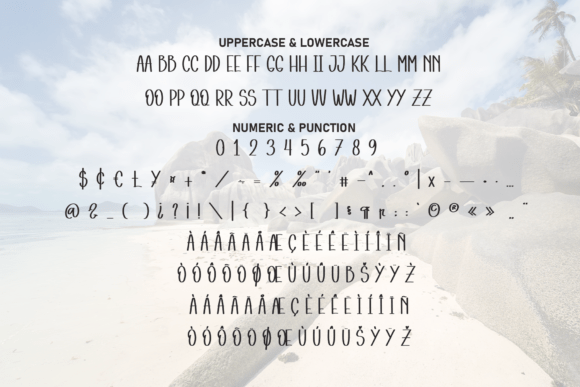 Beach Wonder Font - Preview 6