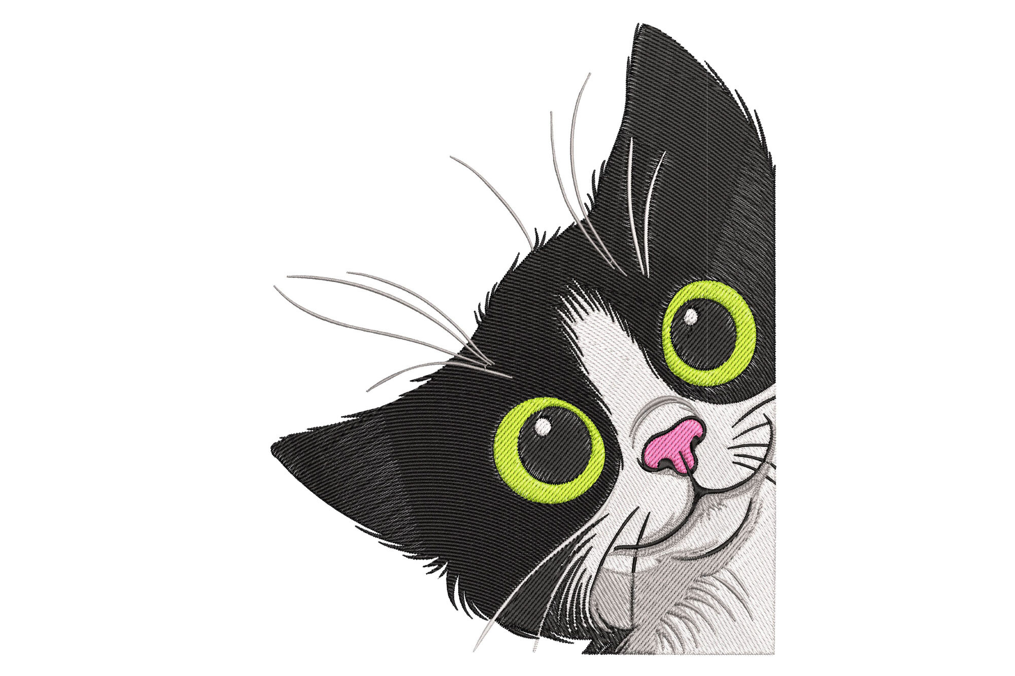 Cute Cat
