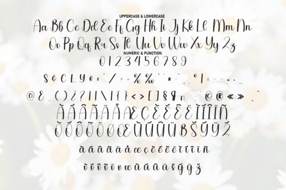 Daisy Font - Preview 6