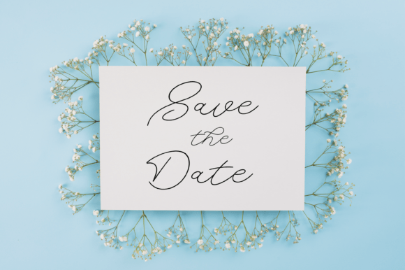 Silk Stroke Font PNG with transparent background - Preview 1