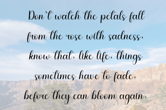 Amellia Font - Preview 4