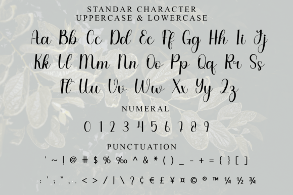 Amellia Font - Preview 6