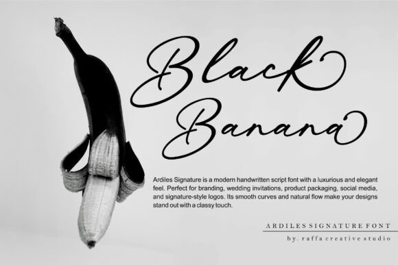 Ardiles Font - Preview 2