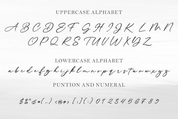 Ardiles Font - Preview 4