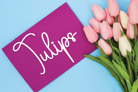 Book Signature Font - Preview 3