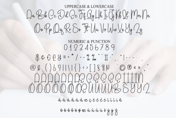 Book Signature Font - Preview 6