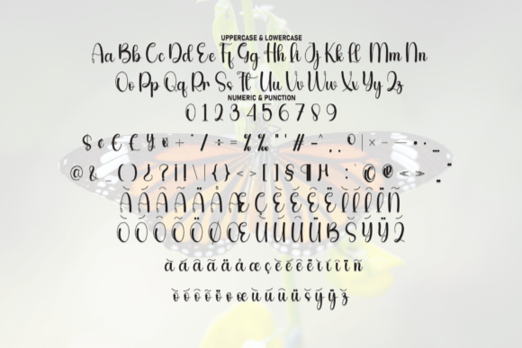 Butterfly Font - Preview 6