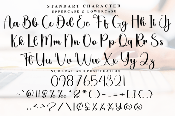 Catalina Signature Font - Preview 4