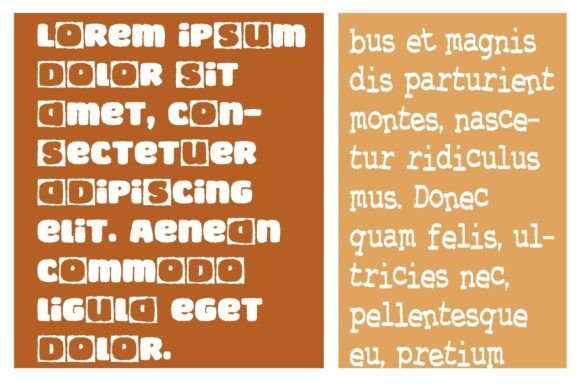 Iconic Craftwork and Corral Duo Font - Preview 3