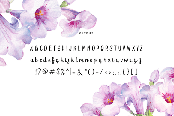 Mio Amore Font PNG with transparent background - Preview 1