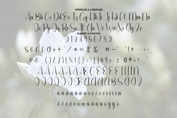 Simple Delight Font PNG with transparent background - Preview 6