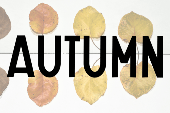 Autumn Farmhouse Font - Preview 3