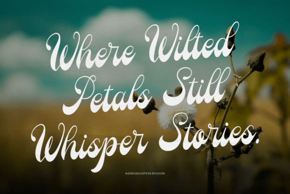 Bastille Fields Font PNG with transparent background - Preview 1