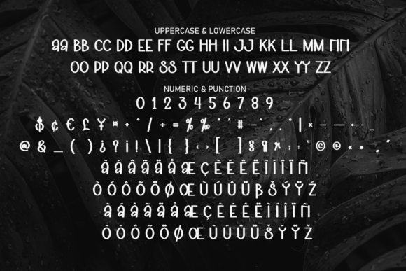 Black Background Font - Preview 6