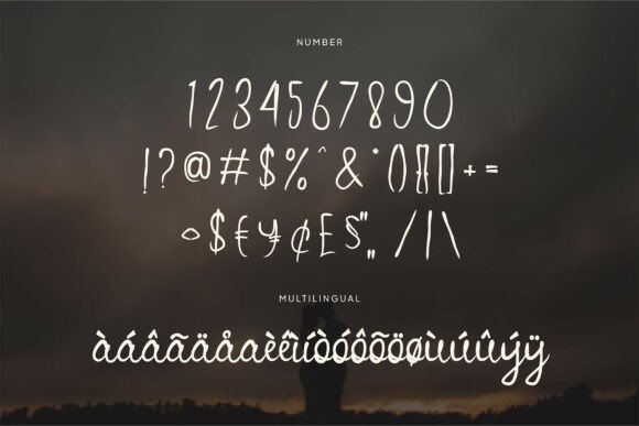 Peach Willow Font PNG with transparent background - Preview 3
