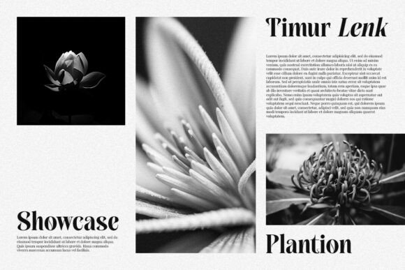 Qorina Font PNG with transparent background - Preview 2