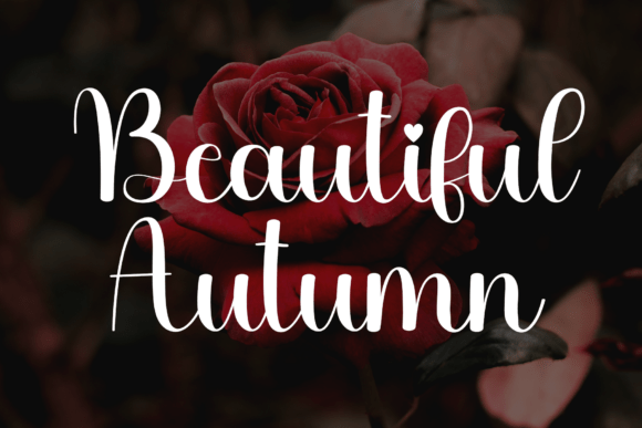 Hello Autumn Font - Preview 4