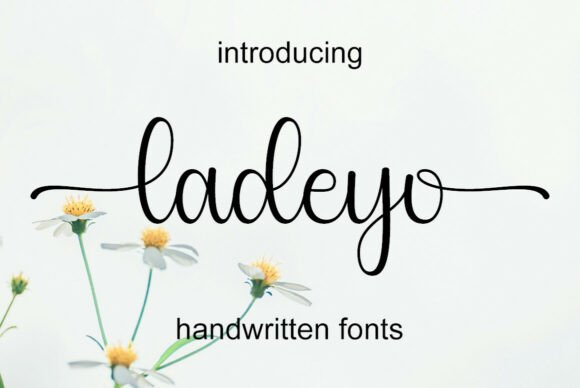Ladeyo Fontes Script Fonte Por Hardiboy Design