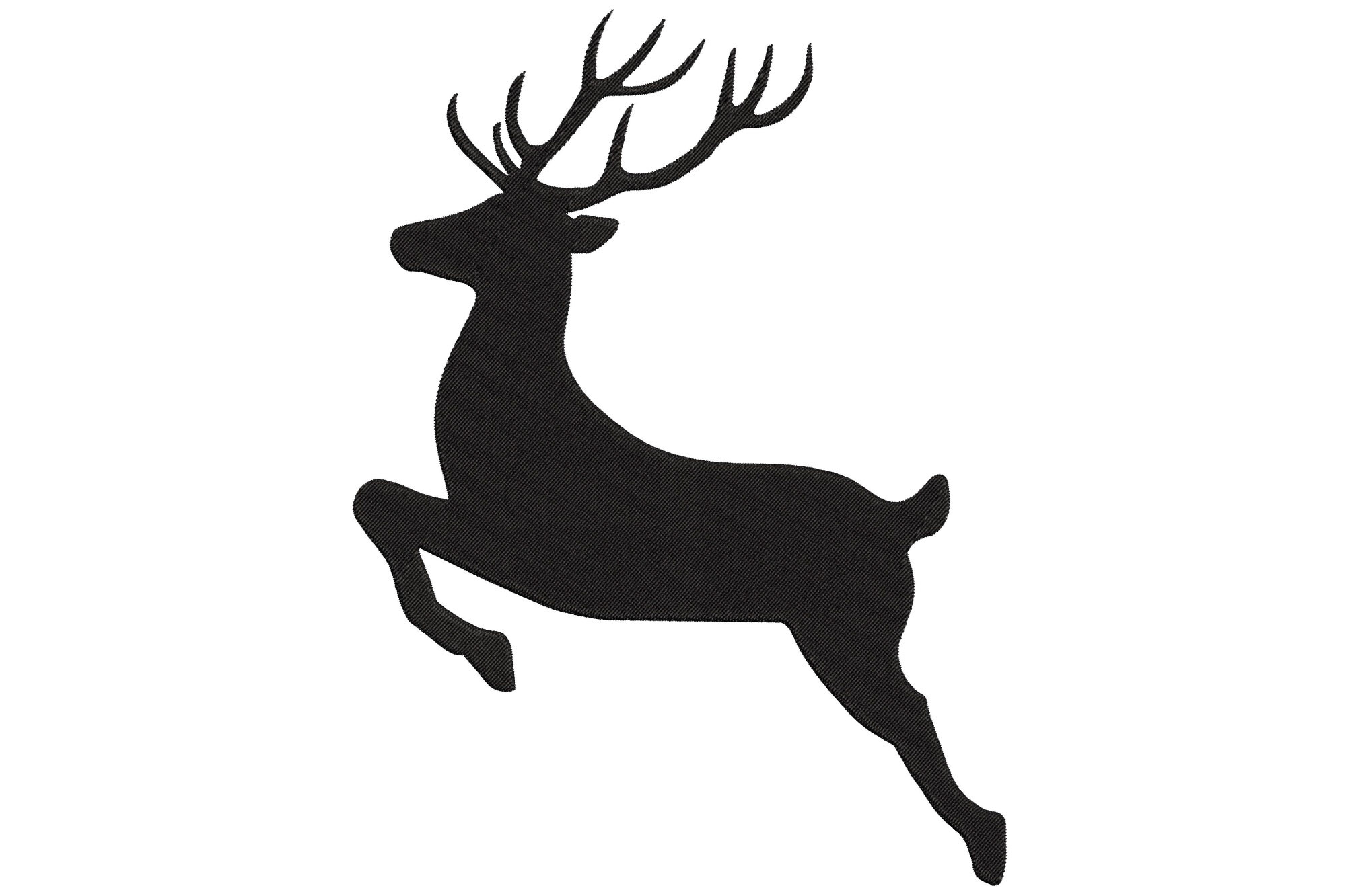 Reindeer