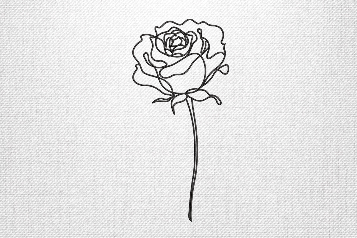 Single Line Rose